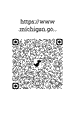 chrome_qrcode_1776198476315.png