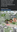 Screenshot_20260516-095545.Facebook.png